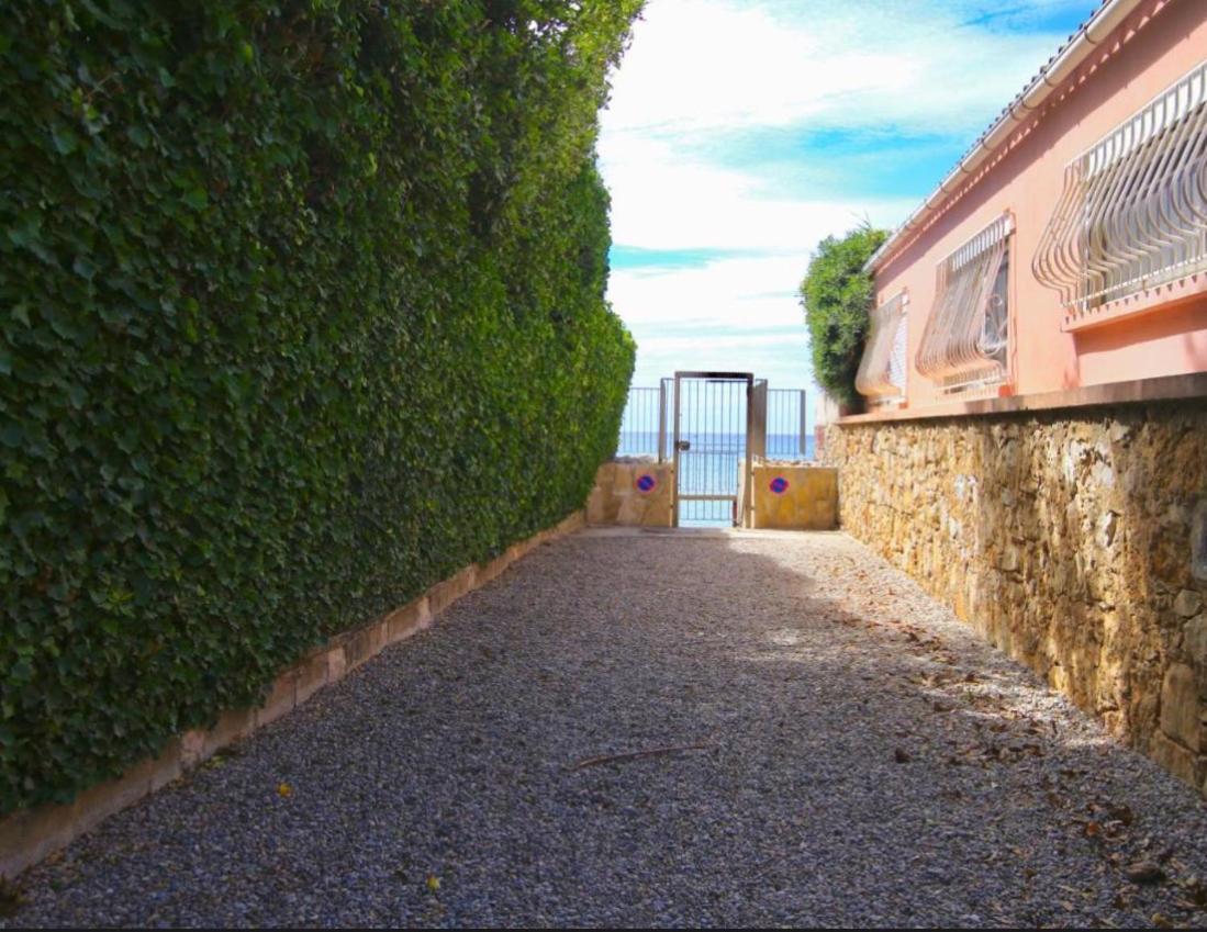 Appartement Pied Dans L'Eau La Seyne-sur-Mer Exterior foto